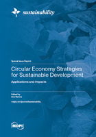 Circular Economy Strategies.jpg