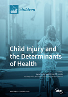 Child_Injury_and_the_Determinants_of_Health.jpg