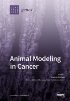 Animal Modeling in Cancer.jpg