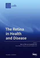 The_Retina_in_Health_and_Disease.jpg