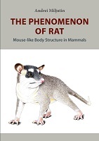 The Phenomenon of Rat.jpg