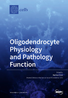 Oligodendrocyte_Physiology_and_Pathology_Function-1.jpg