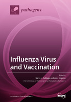 Influenza_Virus_and_Vaccination.jpg v1591708763.jpg