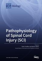 Pathophysiology_of_Spinal_Cord_Injury_SCI.jpg