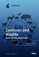 Zoonoses_and_Wildlife_One_Health_Approach.jpg