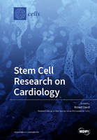 Stem_Cell_Research_on_Cardiology.jpg