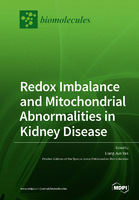 Redox_Imbalance_and_Mitochondrial_Abnormalities_in_Kidney_Disease.jpg