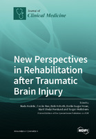 New_Perspectives_in_Rehabilitation_after_Traumatic_Brain_Injury.jpg