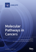 Molecular_Pathways_in_Cancers.jpg