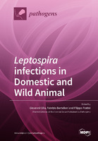 Leptospira infections in Domestic and Wild Animal.jpg